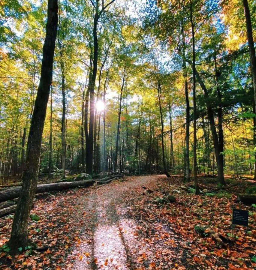 Pet Friendly Condos At Friday Harbour Innisfil Eksteriør billede